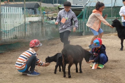 동춘2동 주민자치센타 어린이 곤충박물관 현장 체험 활동