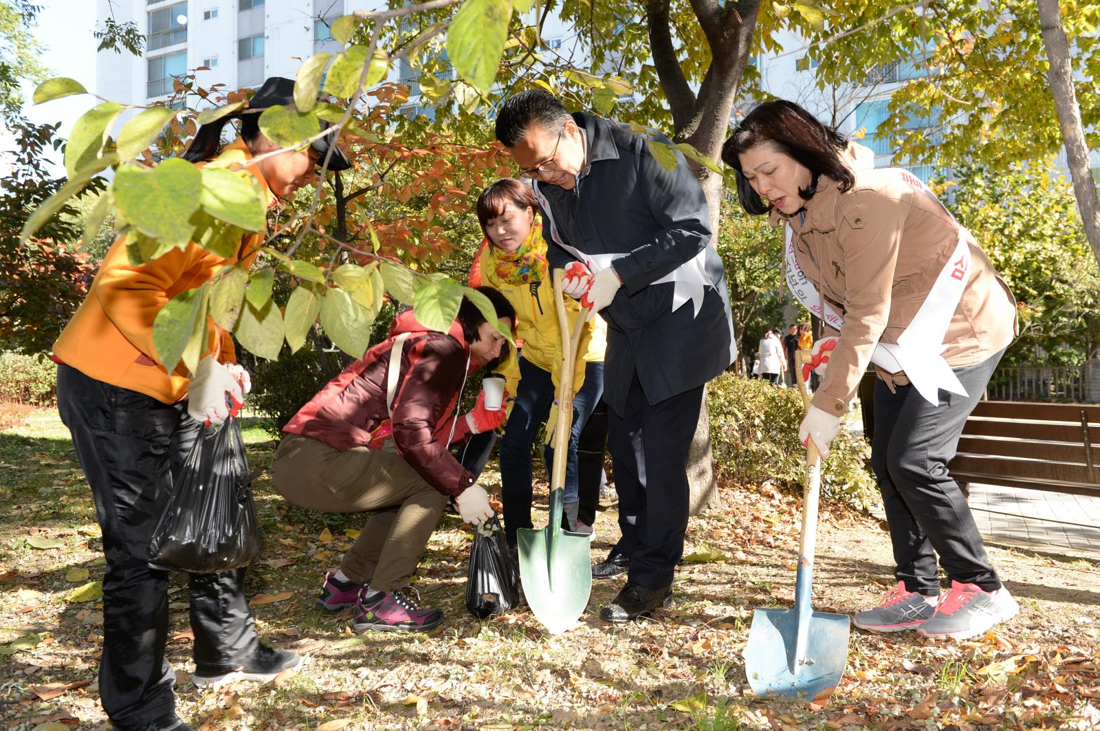 나무 숲가꾸기행사의 1번째 이미지