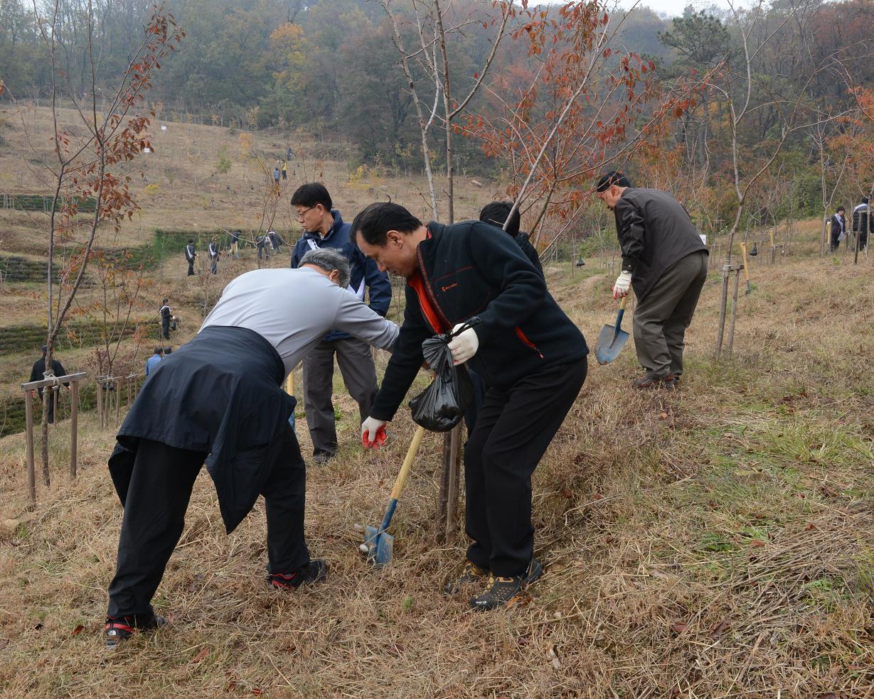 2012 나무가꾸기 행사 실시의 1번째 이미지