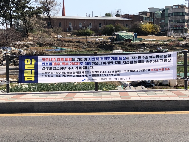 연수구, 코로나19로 지친 어르신들 위해 실버농장 개장의 1번째 이미지