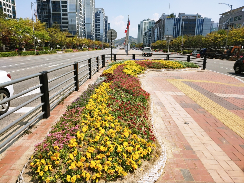 연수구, 송도국제도시 교통섬 8곳에 로프화단형 쌈지꽃밭의 1번째 이미지