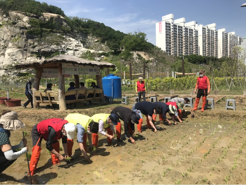 연수구, 송도석산 도시텃밭 손모내기 체험 행사의 2번째 이미지