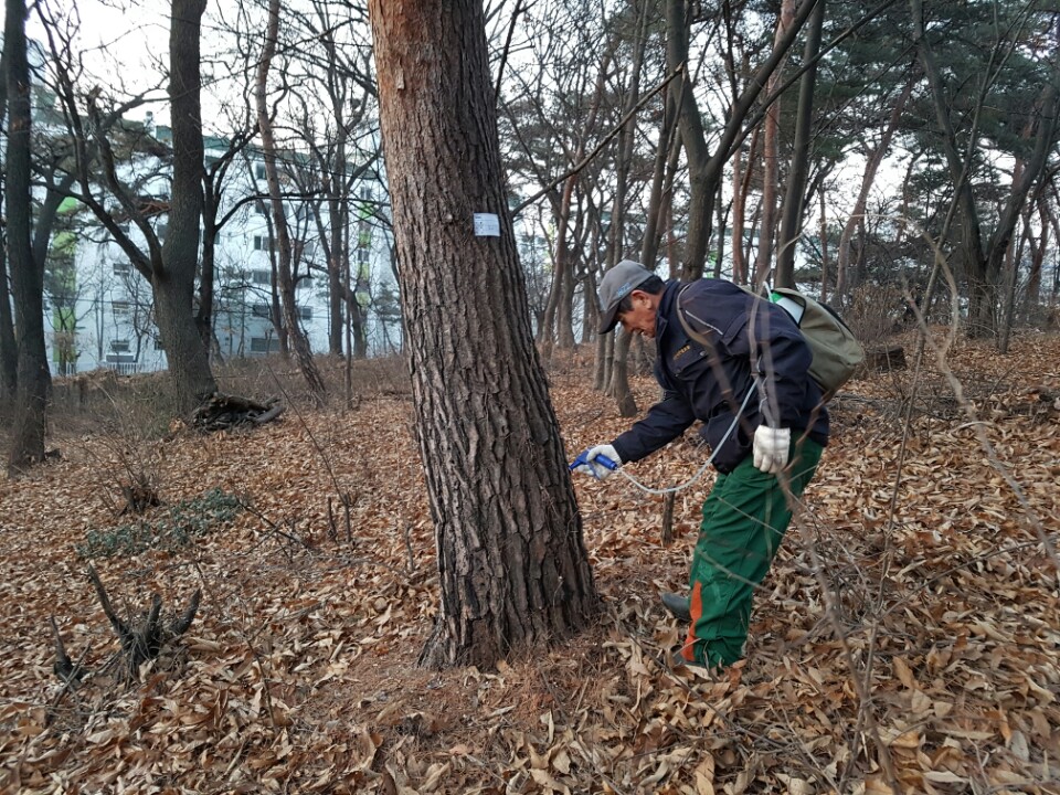 소나무재선충병 예방나무주사의 1번째 이미지