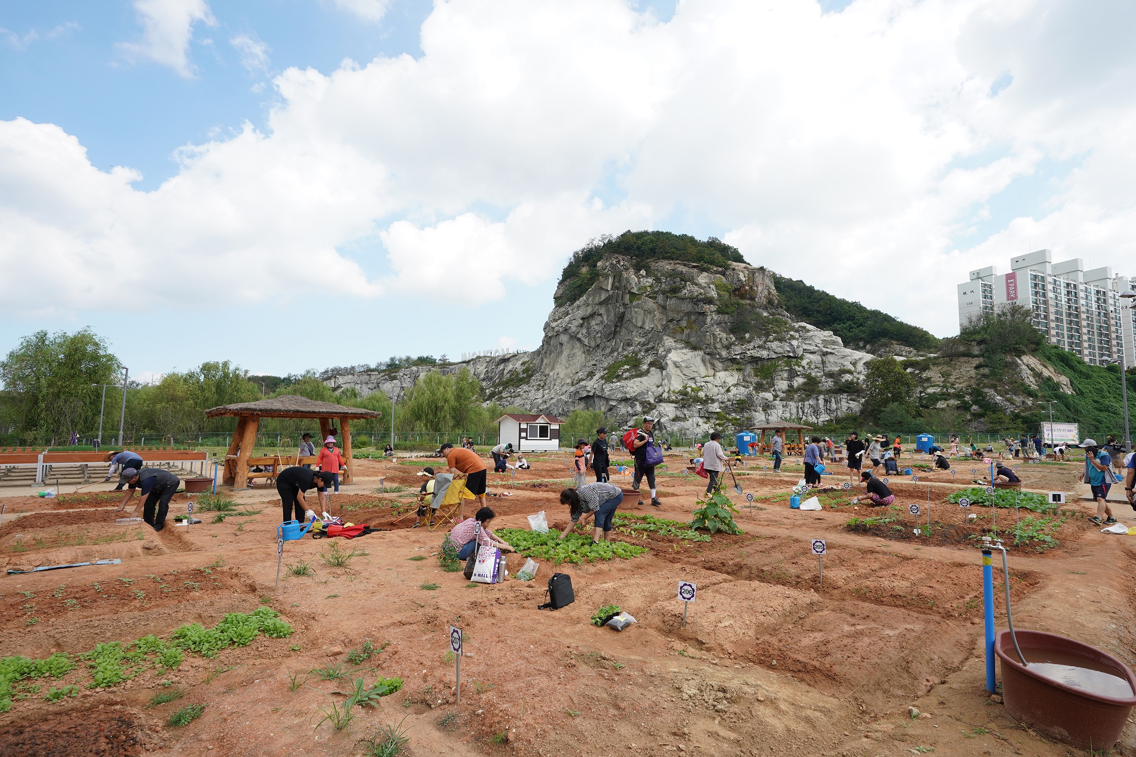 [기획] 연수구 송도석산 도시텃밭 주민힐링공간 개장행사의 2번째 이미지