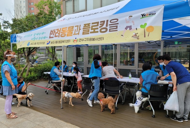 송도4동,  건강과 환경 지키는 ‘반려동물과 플로킹을’의 1번째 이미지